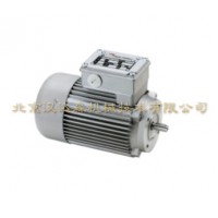 德國Minimotor-單相三相同軸電動機PA技術參數(shù)