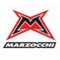 Marzocchi 馬祖奇齒輪泵