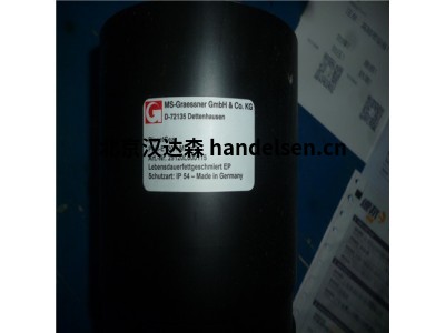 意大利Ansaldo安莎爾多-DC-Motor GH280MK風(fēng)機(jī)