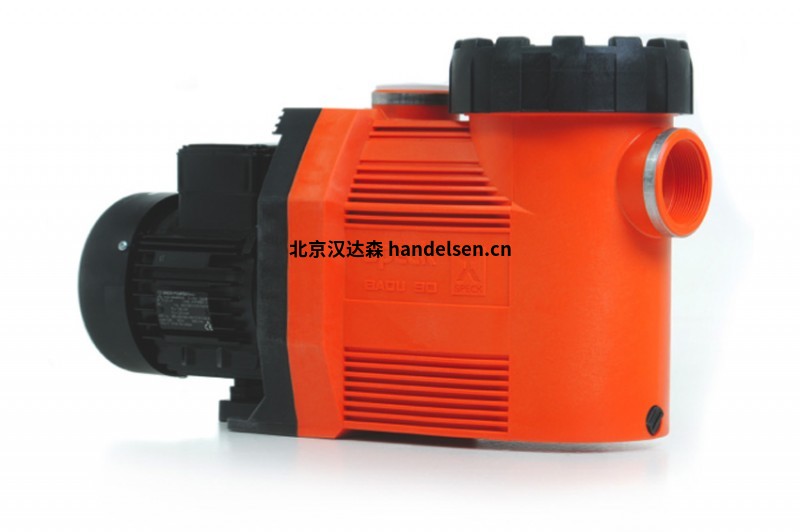 Speck Pumpen Badu 90-25 Pump_2