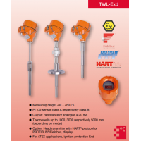 Heinrichs 電阻溫度計(jì)TWL系列，用于液體、固體和氣體的測(cè)量