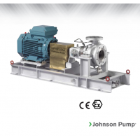 Johnson Pump 重型流程泵，適合化工/石化工業(yè)、煉油廠和一般工業(yè)應(yīng)用