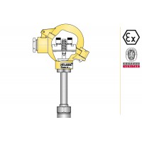 aplisens CTSW1 CTSW2潤(rùn)濕件材料15HM溫度計(jì)傳感器類型ATEX認(rèn)證