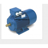 意大利 OEMER 異步電機(jī) MTES3 系列：高效驅(qū)動，賦能工業(yè)新動能
